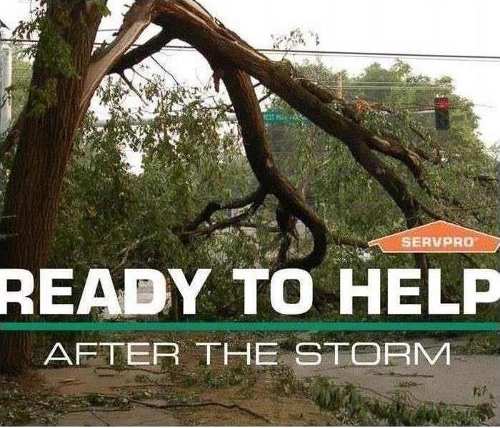 Hiring Professional Storm Restoration Services Will Actually Reduce Your Restoration Costs!