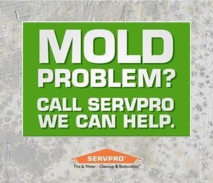 Commercial Mold Remediation in Newington