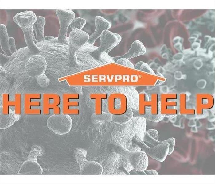 Why Should You Choose SERVPRO and When Should I Call A Mold Removal Company?