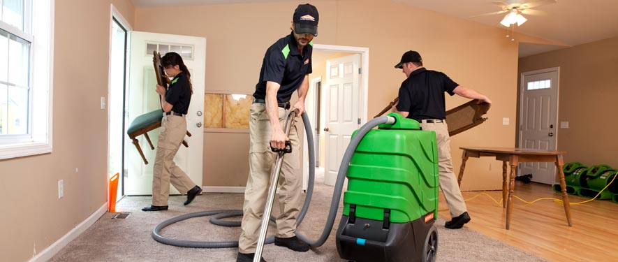 West Springfield, VA cleaning services